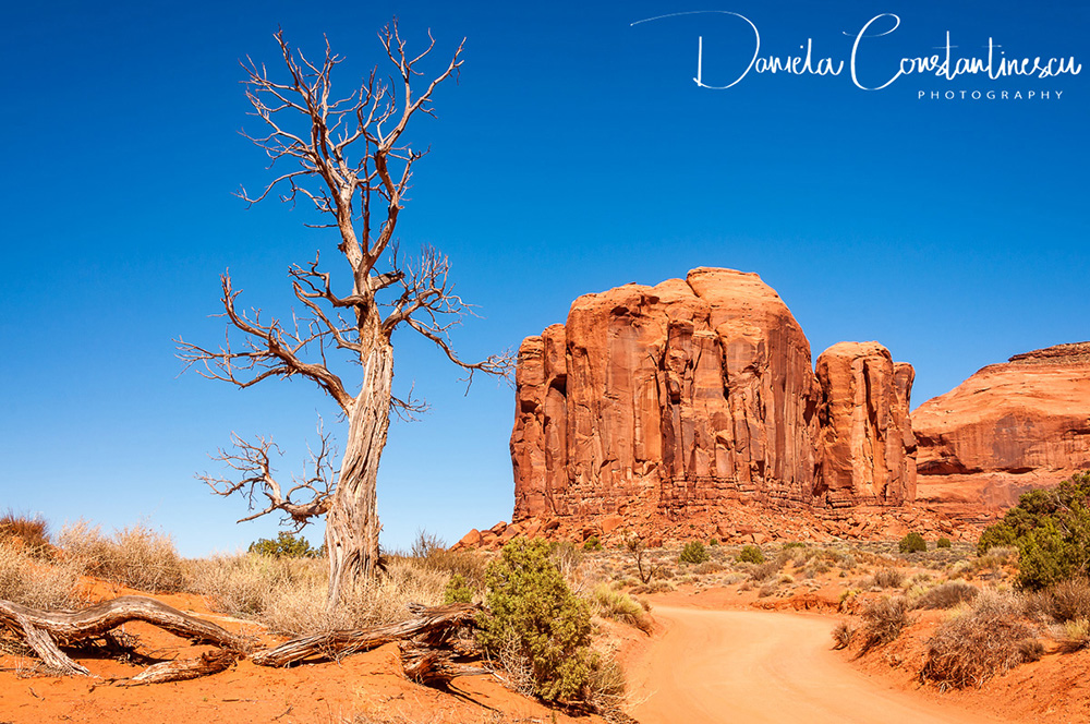 Monument Valley Desert landscape